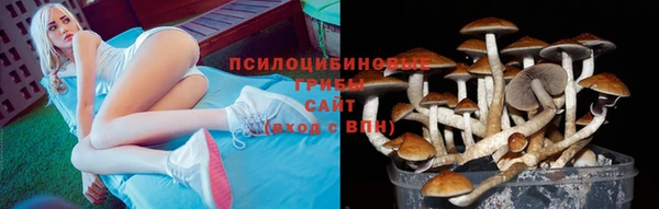 МДМА Няндома