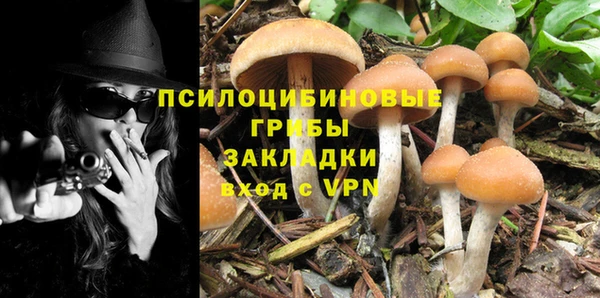 МДМА Няндома