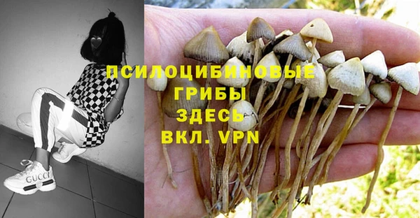 экстази Нязепетровск